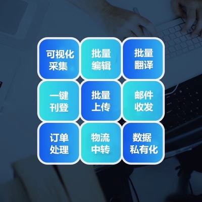 亚马逊ERP软件oem贴牌定制开发系统独立部署